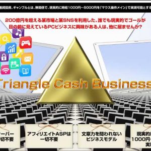 【よくある質問とネタバレ】松本正治のインサイダーアウトサイダービジネスは初心者でも稼げる？